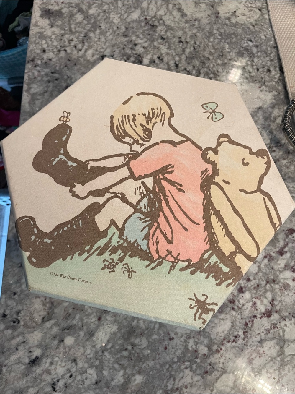 Winnie the Pooh Illustration Hexagon Hat Box